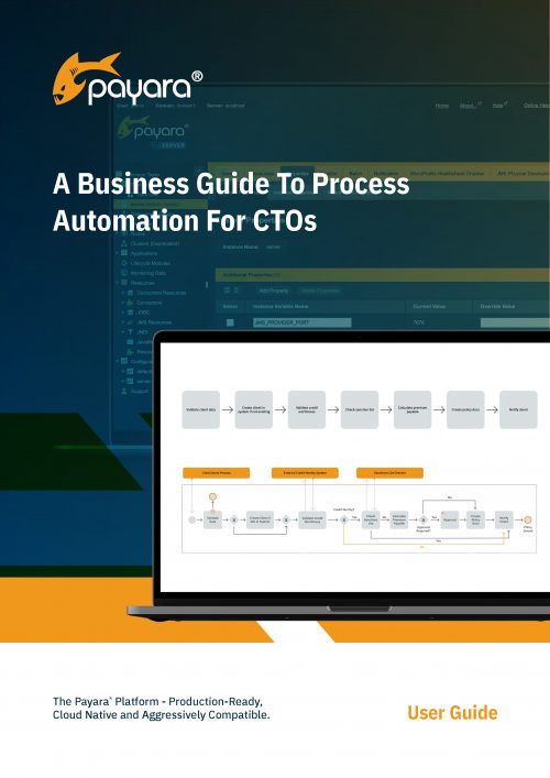 A Business Guide To Process Automation For CTOs
