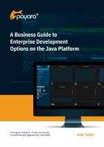 A Business Guide to Enterprise Development Options