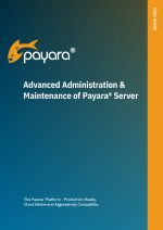 Advanced Administration and Maintenance of Payara Server Guide