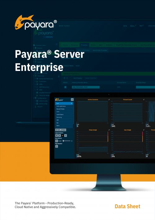 Payara Server Datasheet Image