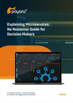 Explaining Microservices: No Nonsense Guide for Decision Makers