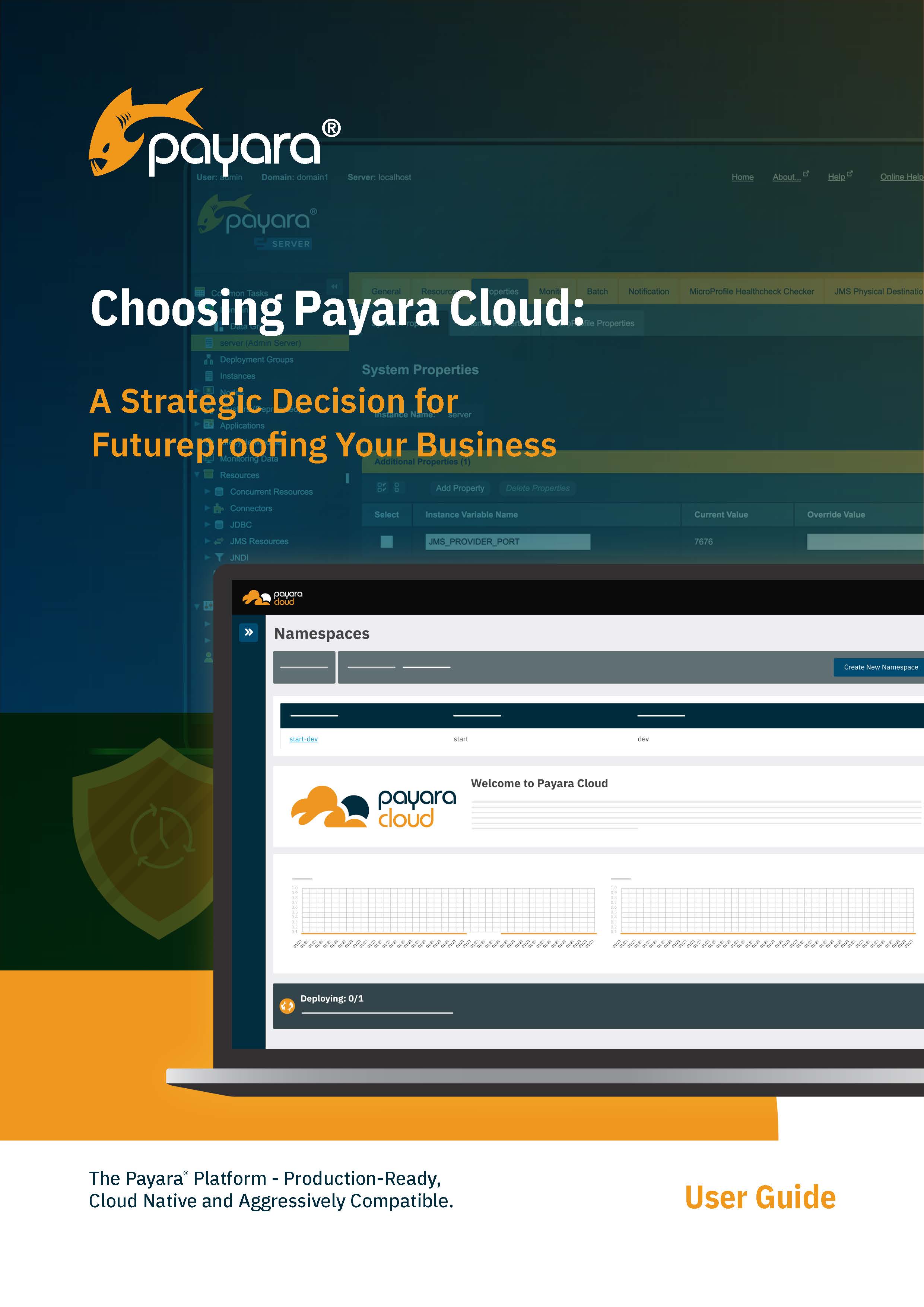 Guide front cover Choosing Payara Cloud: A Strategic Decision for Futureproofing Your Business