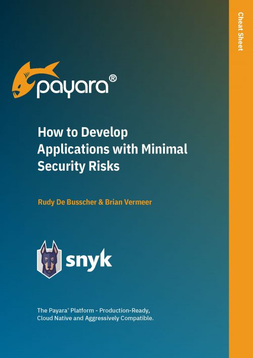 How to Develop Applications with Minimal Security Risks Cover