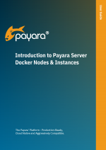 Cover of Introduction to Payara Server Docker Nodes & Instances