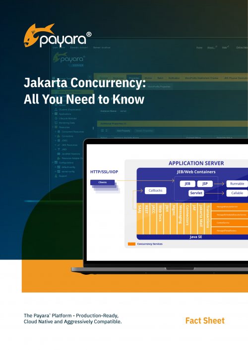 Jakarta Concurrency front cover