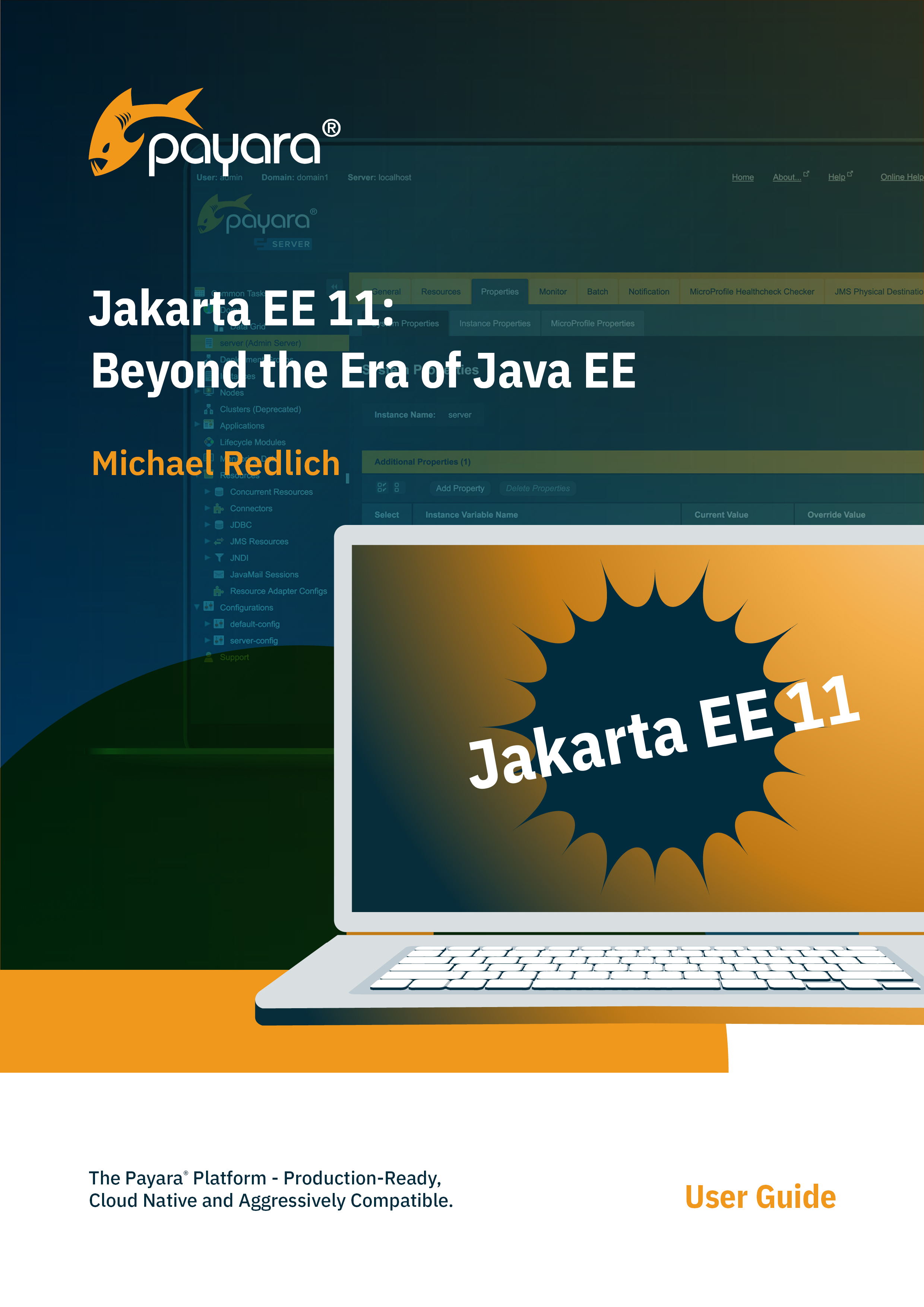 Cover image for akarta EE 11 Beyond the Era of Java EE