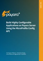 Build Highly Configurable Applications on Payara Server Using the MicroProfile Config API cover