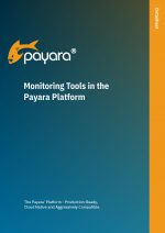 Monitoring Tools in the Payara Platform
