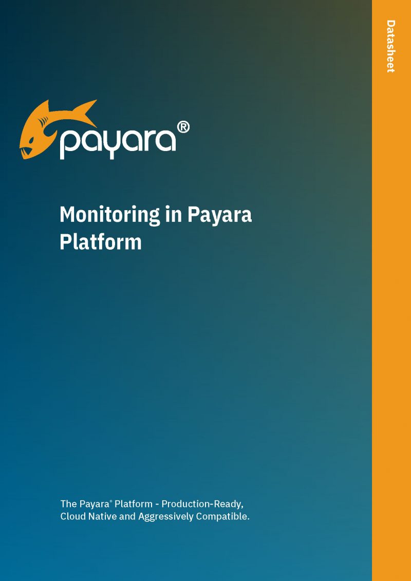 Monitoring in Payara Platform Cover
