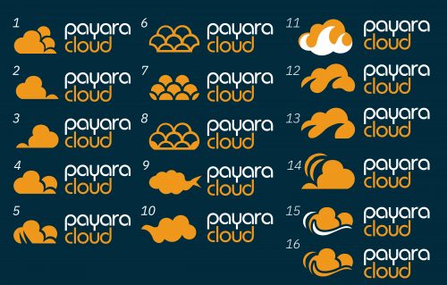 Payara Cloud: Logo Creation and Brand Continuity