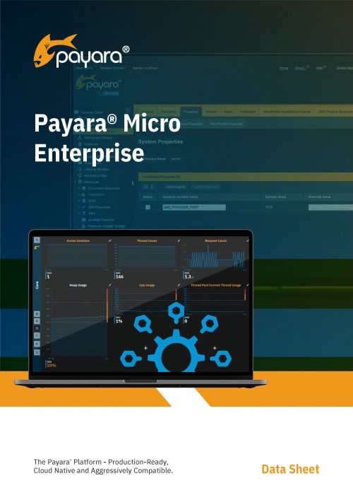 Payara Micro Enterprise Datasheet_Page_1