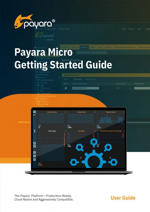 Payara Micro Getting Started Guide Cover