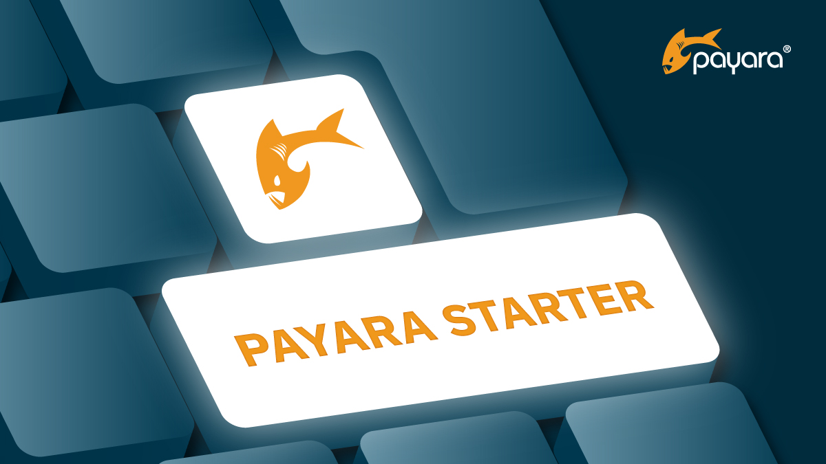Payara Starter – Click Generate and Start Your Payara Journey!