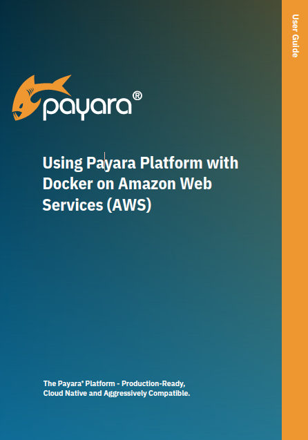 Using Payara Platform with Docker on Amazon AWS guide