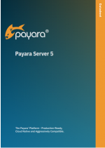 Payara Server 5 datasheet