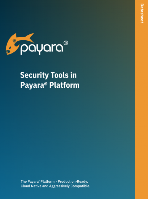 Security Tools in the Payara Platform datasheet
