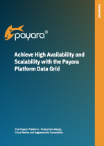 Achieve High Availability and Scalability with the Payara Platform Data Grid Cover