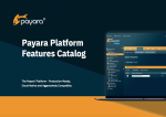 Payara Platform Features Catalog