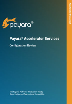 Payara accelerator configuration review
