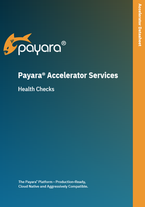 Payara Accelerator Health Checks