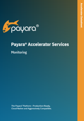 Payara Accelerator Monitoring Datasheet