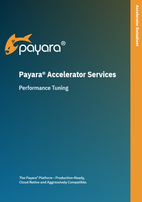 Payara Accelerator Performance Tuning Datasheet