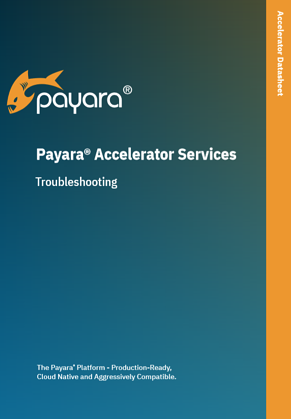 Payara Accelerator Troubleshooting Datasheet