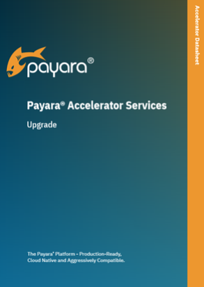Payara Accelerator Upgrade Datasheet
