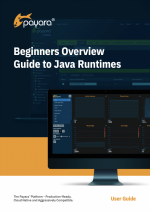 Beginners Overview Guide to Java Runtimes