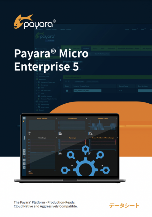 Payara Micro 5 Datasheet Japanese