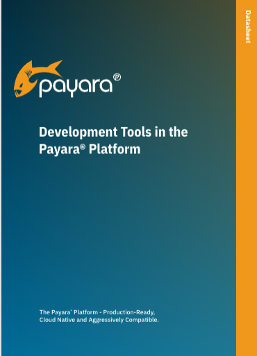 developer tools in the Payara Platform
