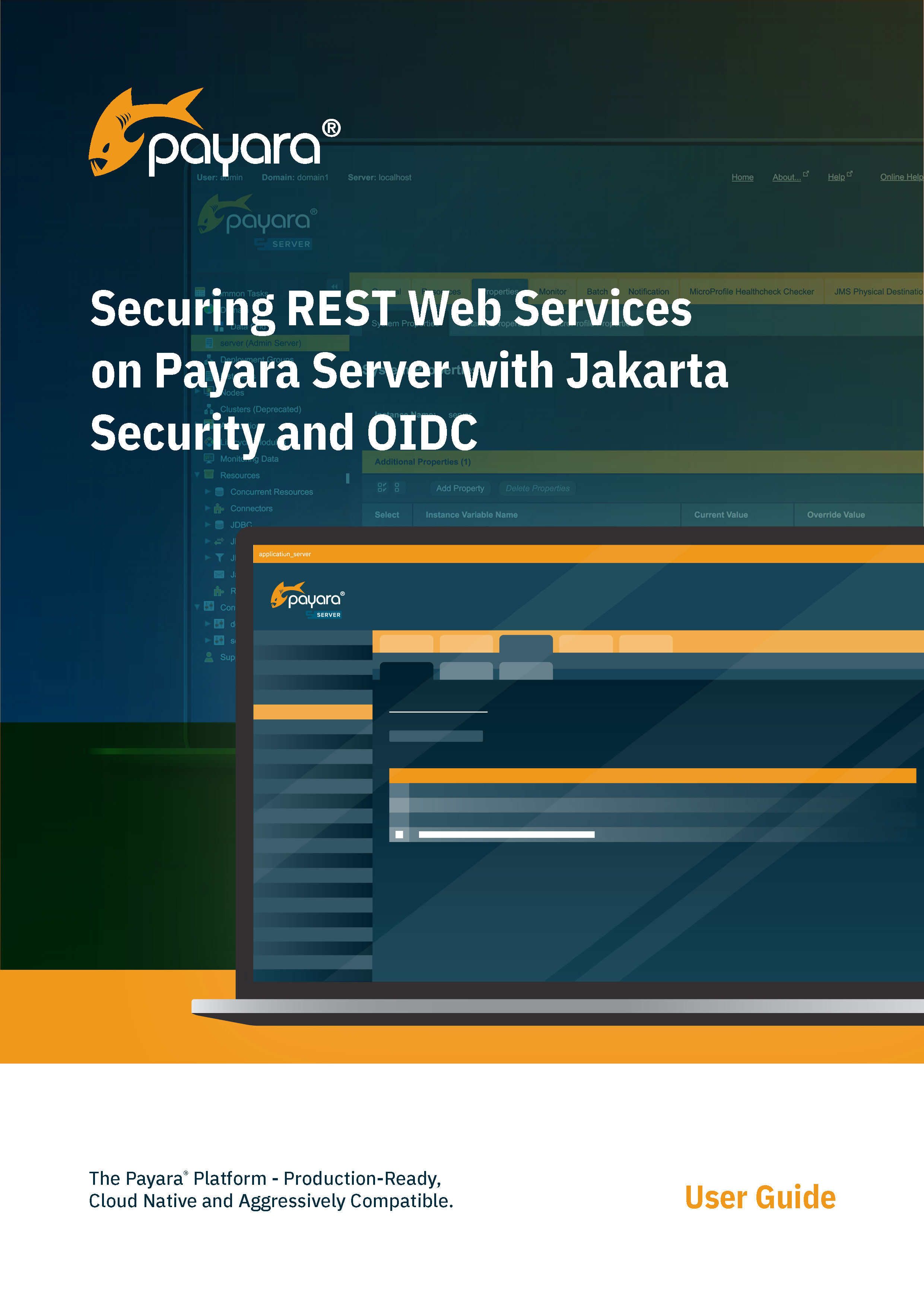 Securing REST Web Services on Payara Server cover page