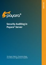Security Auditing in Payara Server