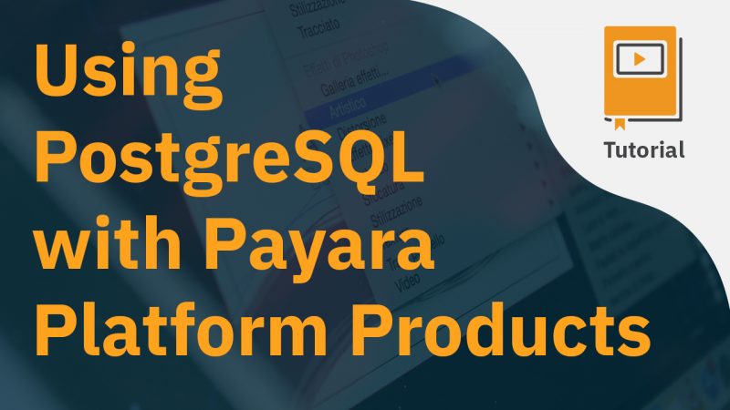 Using PostgreSQL with Payara Platform Products