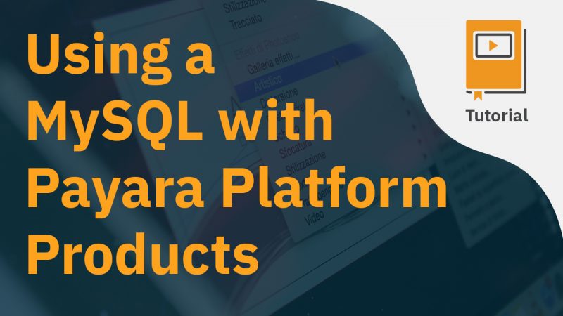 Using a MySQL with Payara Platform Products