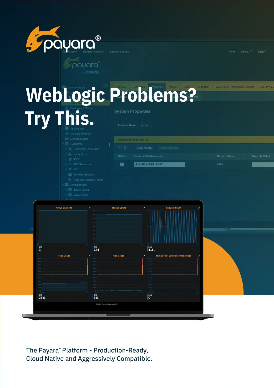 WebLogic Problems