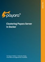 Clustering Payara Server in Docker user guide.