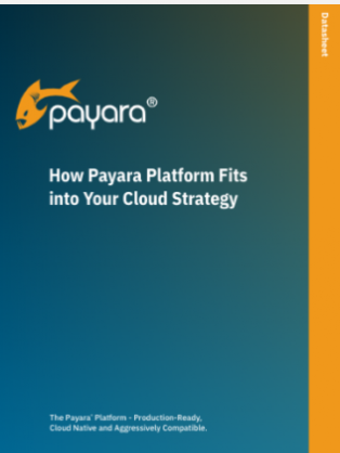 How the Payara Platform Fits into Your Cloud Strategy Datasheet screenshot
