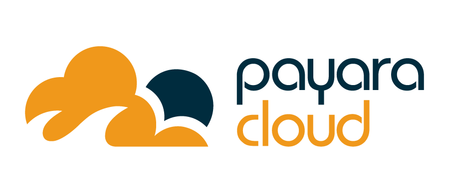 Payara Cloud Logo