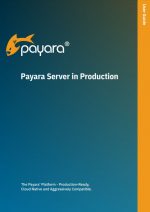 Payara Server in Production Ops Guide